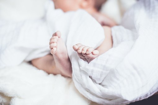 Novorodenec